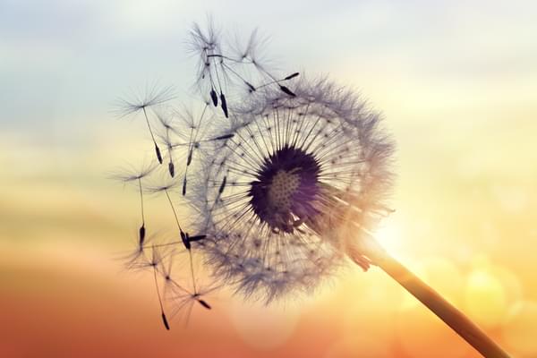 mental health and debt